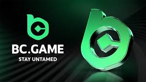 Discover the Thrill of BC CO Crypto Casino