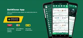 Ultimate Guide to BetWinner Casino Betting 14