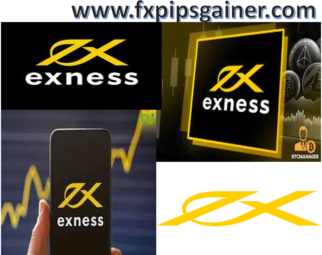 Understanding Exness Company A Comprehensive Guide to Forex Trading Understanding Exness Company A Comprehensive Guide to Forex Trading