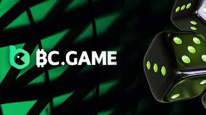 Discovering the World of BCigra A Comprehensive Guide