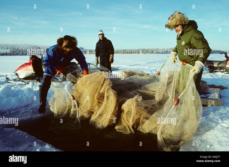 Ice fishing game online - Erfahrungen mit Online Ice Fishing Spielen in Deutschland - Wettbewerb und Ice fishing game online - Erfahrungen mit Online Ice Fishing Spielen in Deutschland - Wettbewerb und