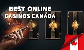 Exploring the Best Canadian Casino Sites for Online Gaming Exploring the Best Canadian Casino Sites for Online Gaming
